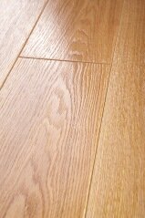 Дуб золотистый Дуб золотистый